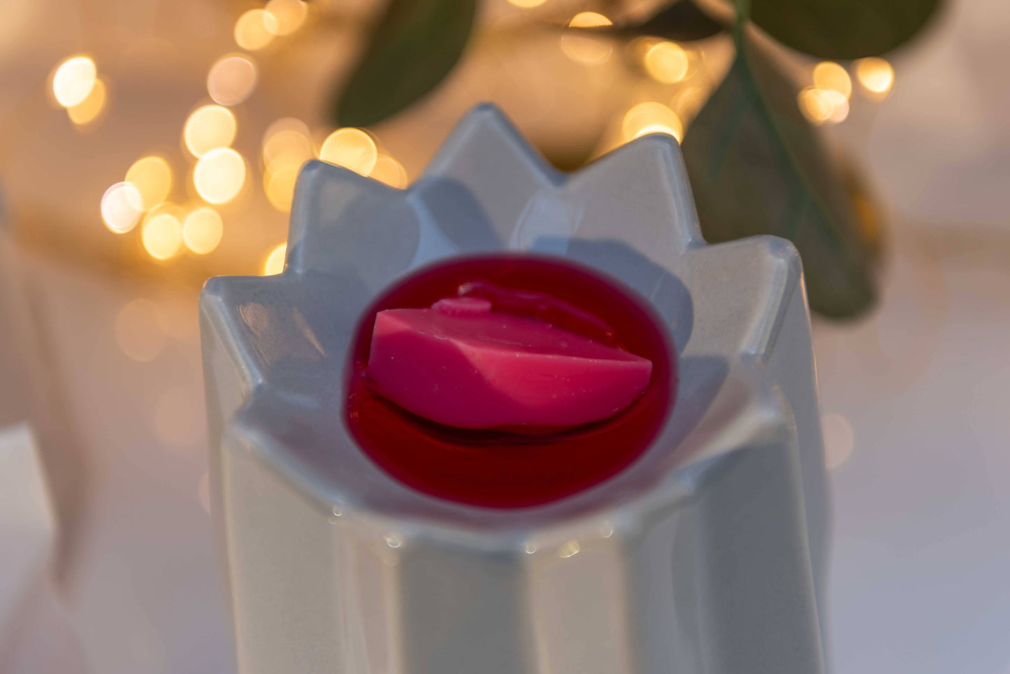 Autumn & Winter Wax Melt Collection