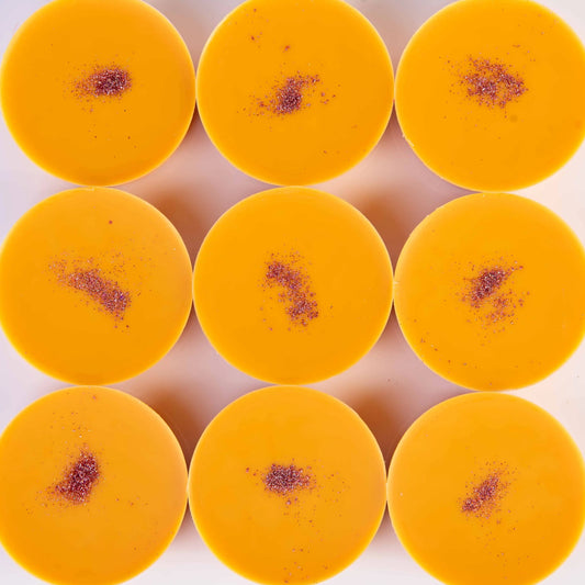Janeiro Bikini Insp Vegan & Cruelty Free Wax Melt 35g Project Scent