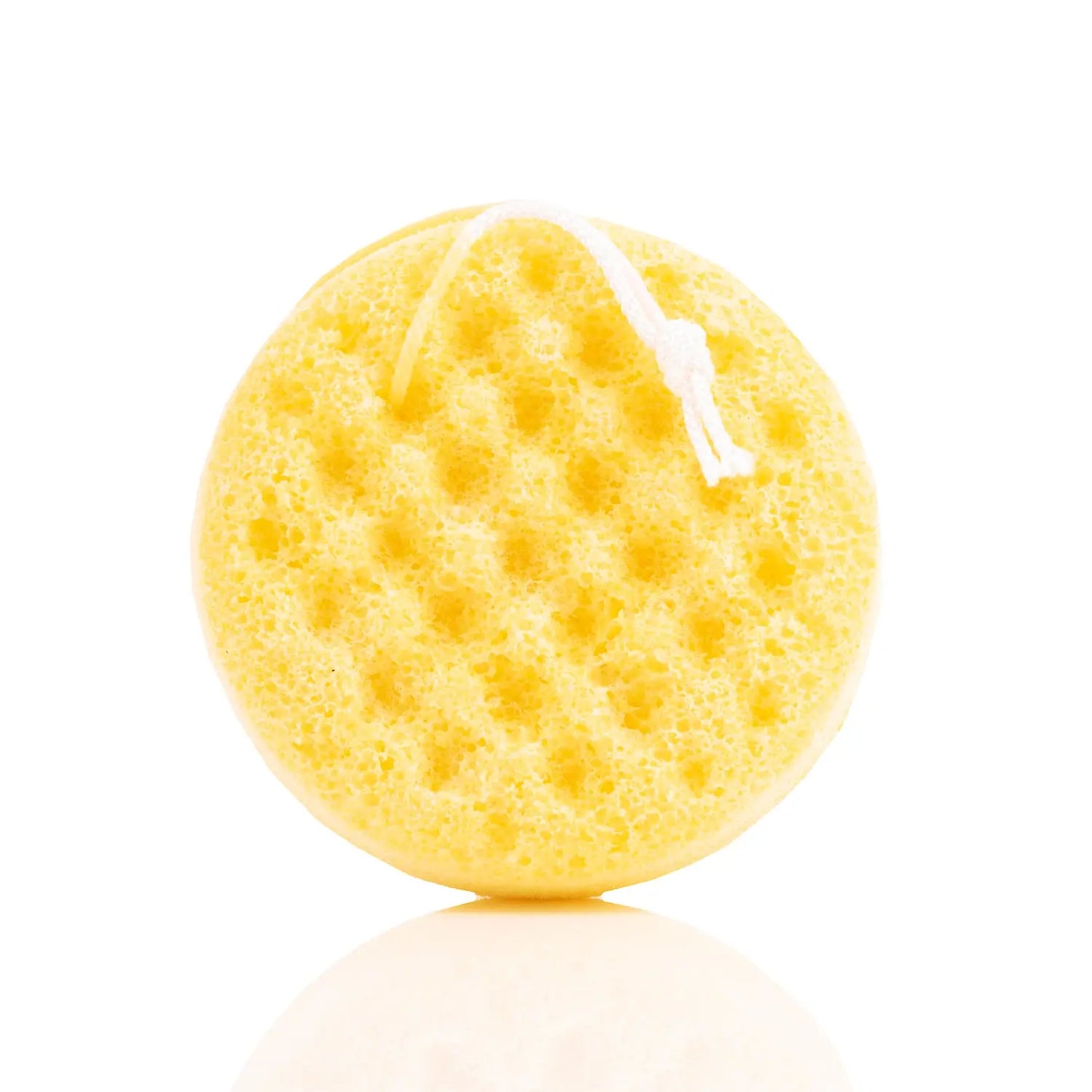 Loaded Soap Sponge 200g Project Scent