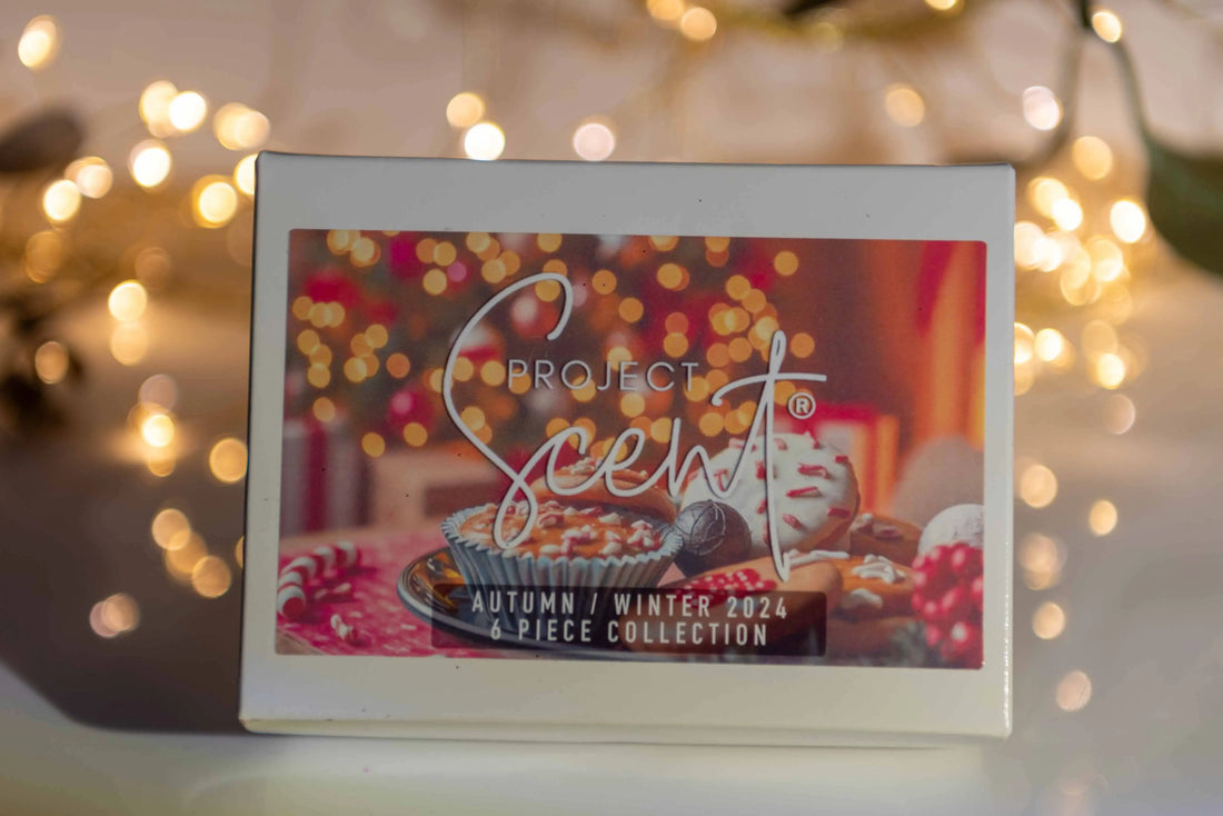 Small box of 6 seasonal scented wax melts that are 15g each and come in a white box.