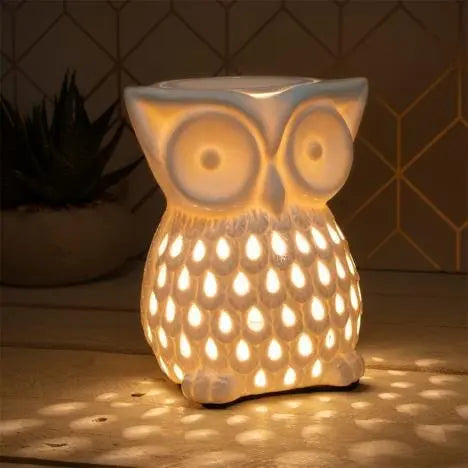 Owl Ceramic Electric Wax Melt Burner LP47290 Desire